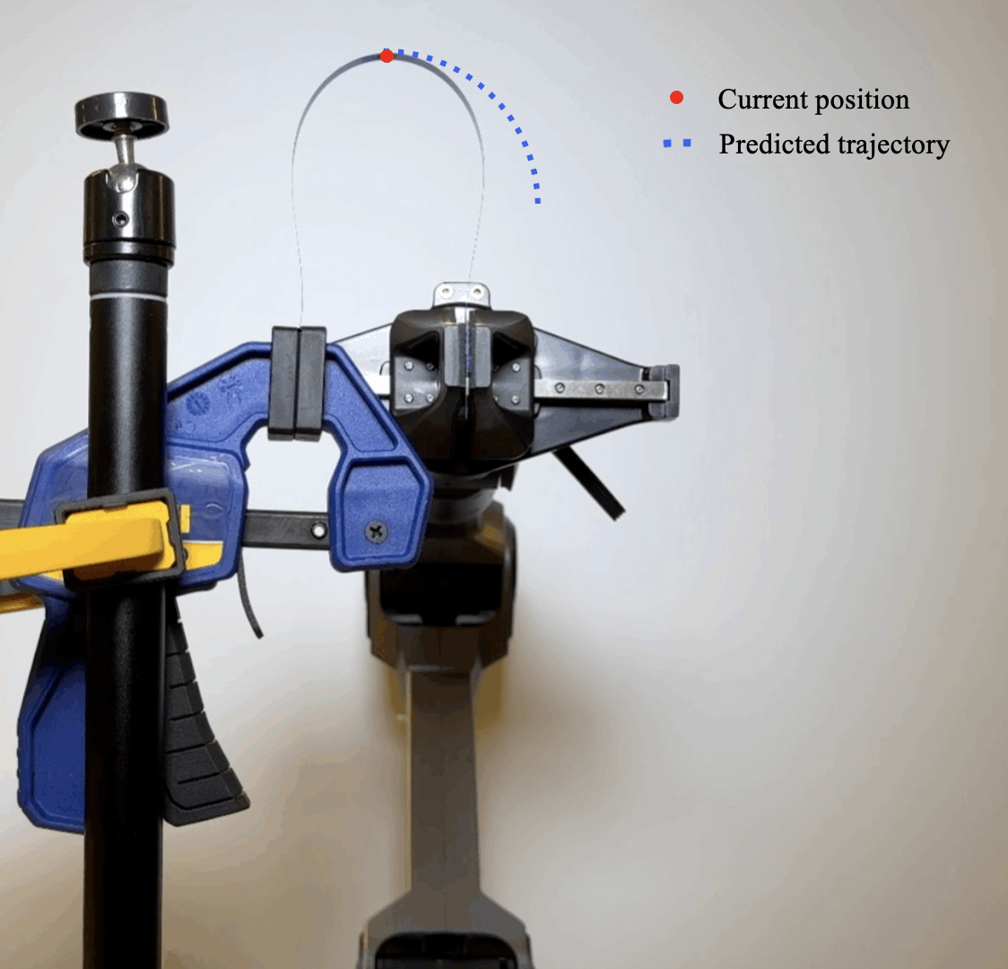 Neural Control animation